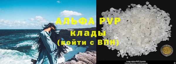 кокс Корсаков