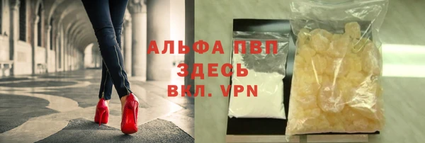 стаф Козловка