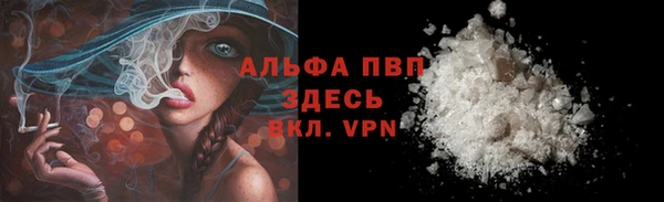 стаф Козловка