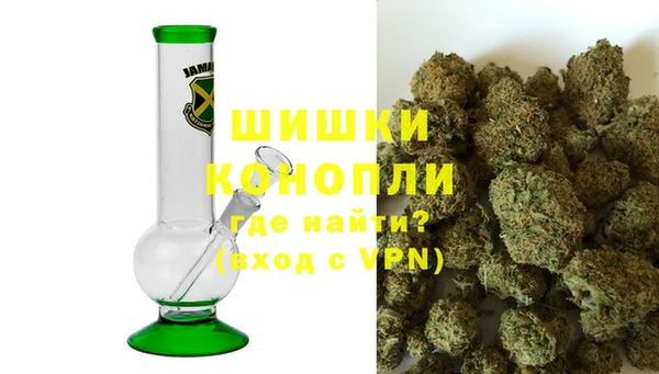 кокс Корсаков
