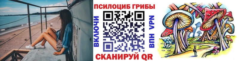 Галлюциногенные грибы Cubensis  Куса 